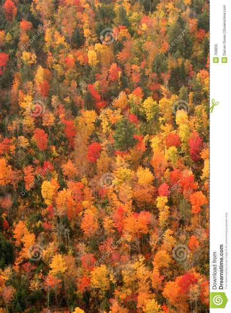 Aerial View Of The Changing Fall Colors Of New England