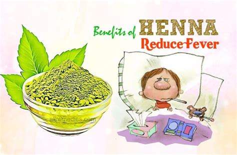 11 Typical Benefits Of Henna Leaves And Oil For Hair Skin And Health