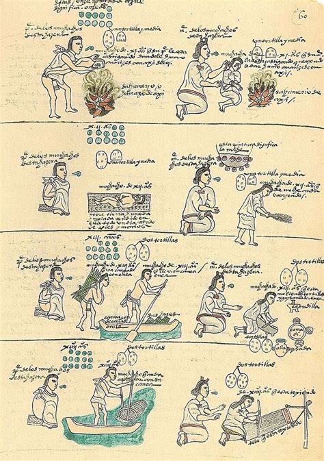 Aztec Daily Life History Crunch History Articles Biographies