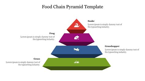 Discover Now Food Chain Pyramid Template Slide Design The Best Porn