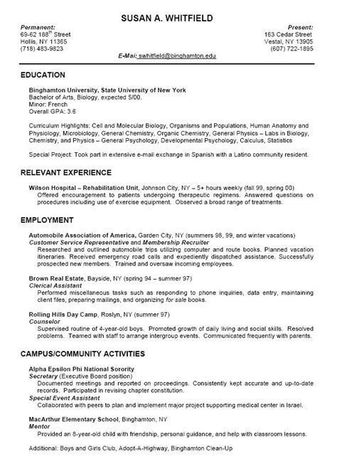 43 Employment History Resume Examples That You Should Know