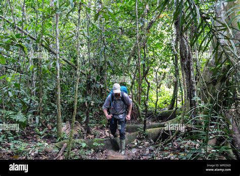 Young Adventure Tourist At Amazonian Rainforest Green Jungle Getaway