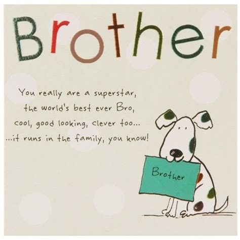 307 Memorable Brother Quotes To Show Your Appreciation Bayart