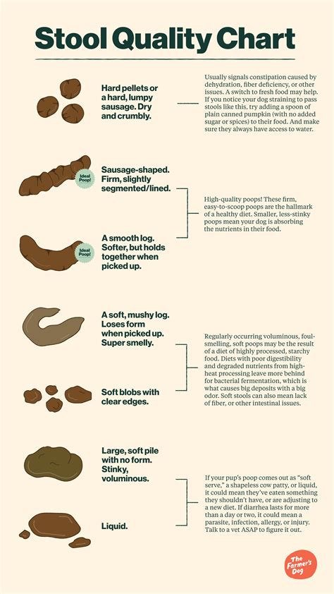 Dog Poop Chart What Your Dogs Poop Color Means Healthy Dog Poop