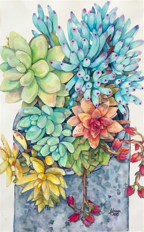 Watercolor Succulents 81915 Available Prints At Fairymadeart