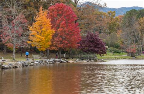 Asheville 2018 Fall Color Report And Forecast Scenic Views