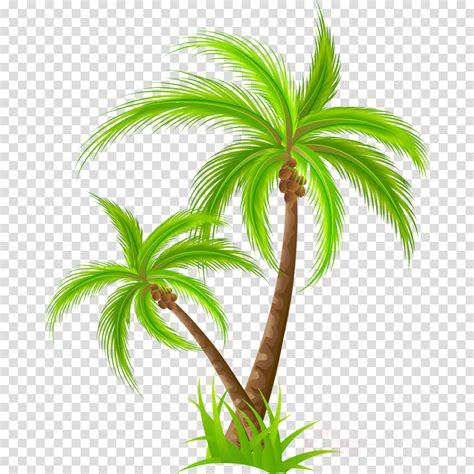 Download Palm Tree Png Clipart Palm Trees Clip Art Kerala Meals