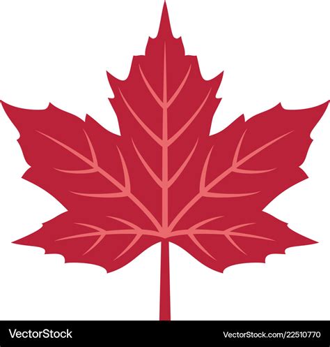 Red Maple Leaf Royalty Free Vector Image Vectorstock