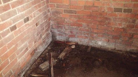 Foundation Repair Supporting And Waterproofing A Brick