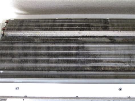 Afrikaans čeština dansk deutsch ελληνικά english english (uk) español (españa) español suomi français bahasa indonesia italiano 日本語 한국어 bahasa melayu norsk nederlands polski português (brasil) português (portugal) русский svenska ภาษาไทย filipino türkçe 中文(简体) 中文(台灣) বাংলা. 元のレンジ カビ 掃除 - すべての花の画像