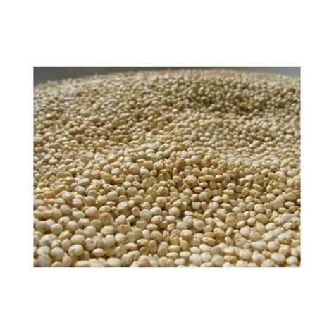 Indian White Quinoa Seeds Packaging Size Kg High In Protein At Rs