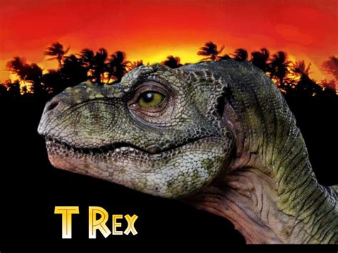 Top 10 Favourite T Rexes Dinosaurs Forum