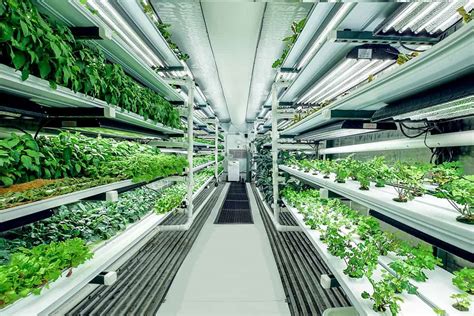 What Is Vertical Farming Pure Greens Container Farms
