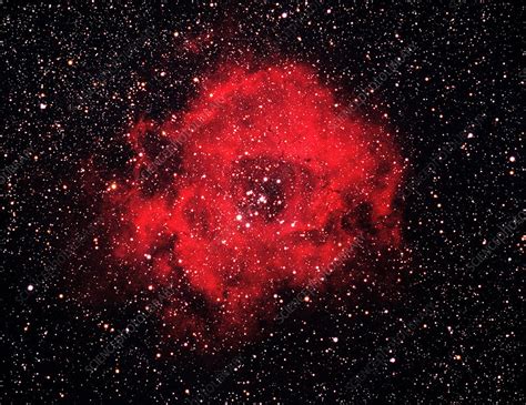 Rosette Nebula Stock Image R5600294 Science Photo Library