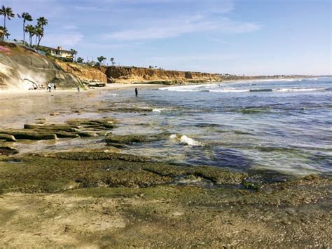 Top Ten Best San Diego Tide Pools San Diego Beach Secrets