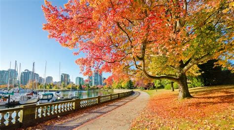 10 Places To See Fall Leaves In And Around Vancouver Curated