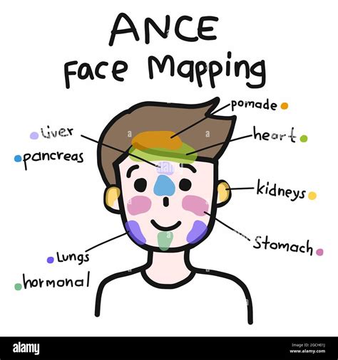 Face Mapping For Acne Cute Man Cartoon Face Vector Illustration Stock Vector Image And Art Alamy