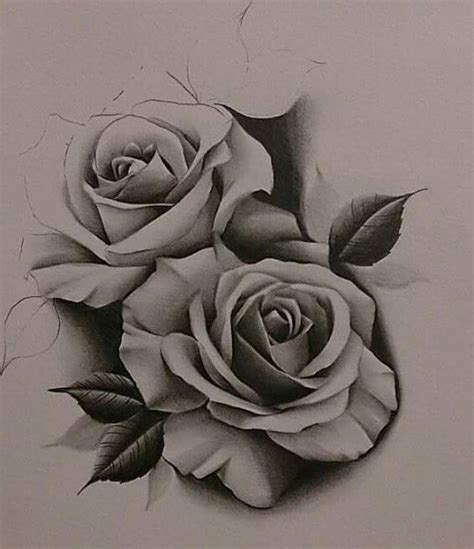 Realistic Rose Drawing At Explore Collection Of