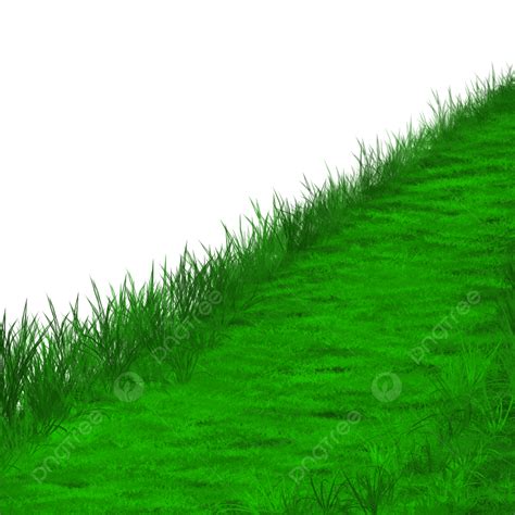 Realistic Grass White Transparent Beauty Green Grass Realistic Grass