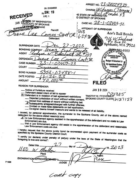 Spokane County Court Viewer