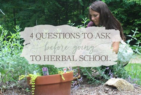 4 Questions To Ask Before Going To Herbal School Growing Up Herbal