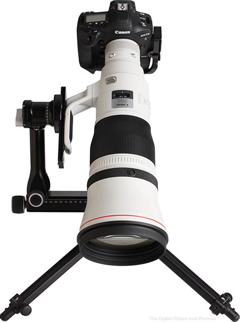 Canon Rf 600mm F4 L Is Usm Lens Review