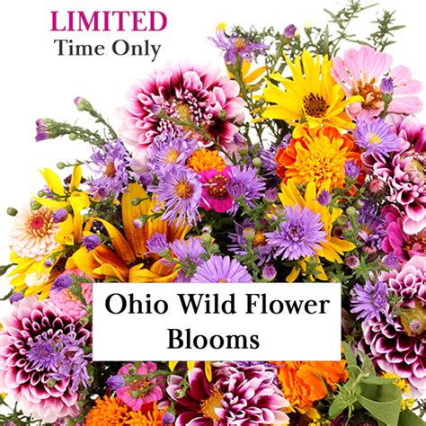 Ohio Wild Flower Blooms In A Vase 1 Florist In Central Ohio