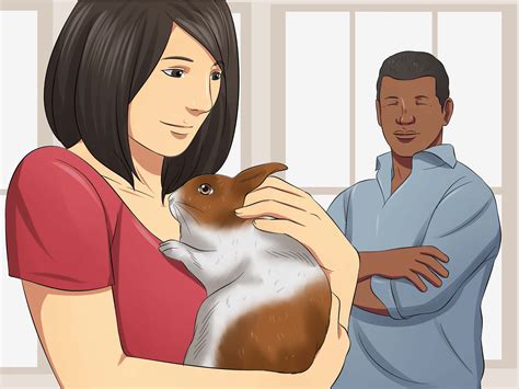 Check spelling or type a new query. 3 Ways to Socialize Your Rabbit - wikiHow