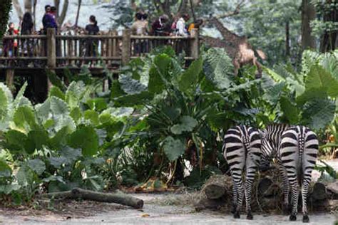 The Most Beautiful Zoos Of The World Video Dailymotion