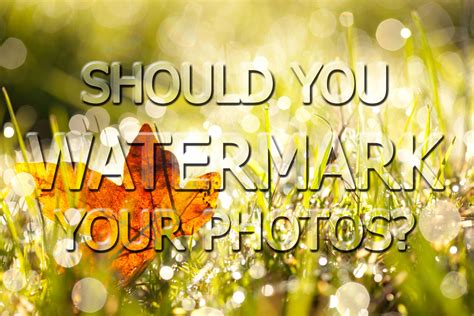 Is watermarking still a sound way to protect your images? Should you watermark your photos? | Discover Digital ...