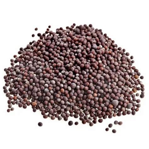 100g Black Mustard Seeds At Rs 14pack Fine Mustard In Chennai Id