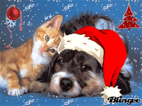 1,418 christmas dog cartoon products are offered for sale by suppliers on alibaba.com, of which. cat and dog merry christmas Picture #77271236 | Blingee.com
