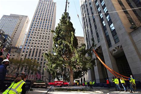 Is The Rockefeller Center Christmas Tree A 2020 Metaphor What About