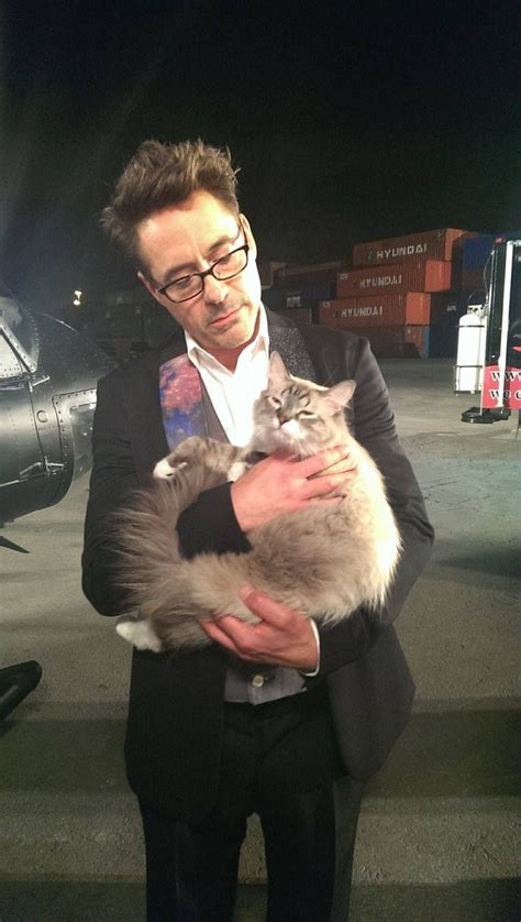 二哈和他的白猫师尊 / the husky and his. Robert Downey Jr. Pets - Celebrity Pet Worth