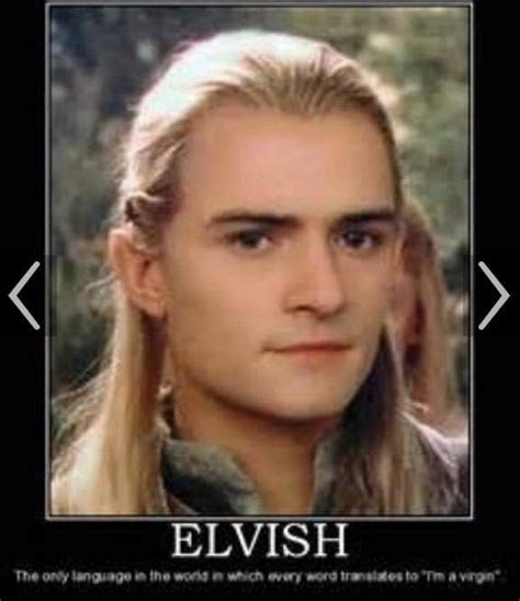 Elf Memes Lotr Amino