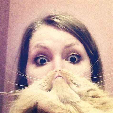Cat Beards A Photo Meme Where People Place A Cat In Front Of Their