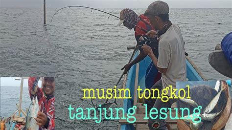 Mancing Tanjung Lesung Lagi Musim Ikan Tongkol Dan Ikan Layang