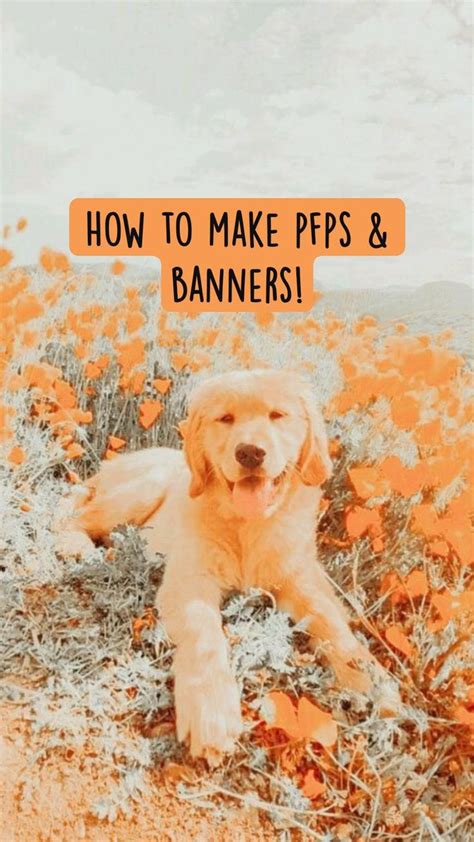 How To Make Pfps And Banners Banner Poster Movie Posters