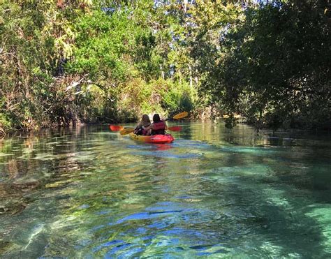 Weeki Wachee Kayak With Manatees See The Mermaids Florida Rambler