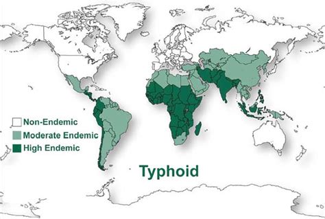 typhoid epidemic in the world download scientific diagram