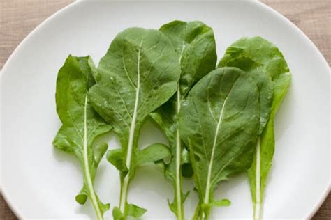 Thiamine (vitamin b1) protects the brain and heart and boosts the immune system. ما هو نبات الجرجير؟ وما هي عناصره الغذائية؟ | البوابة