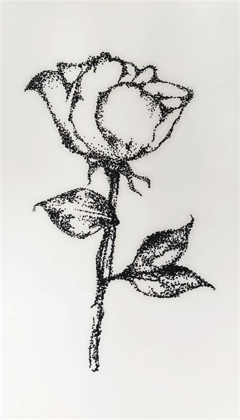 Pointillism Stippling Tattoo Stippling Drawing Flower Drawing