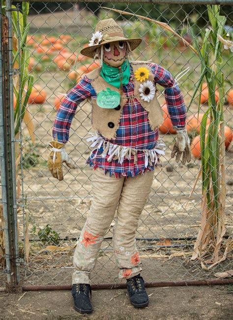 13 Best Diy Garden Scarecrow Ideas And Tutorials 54 Off