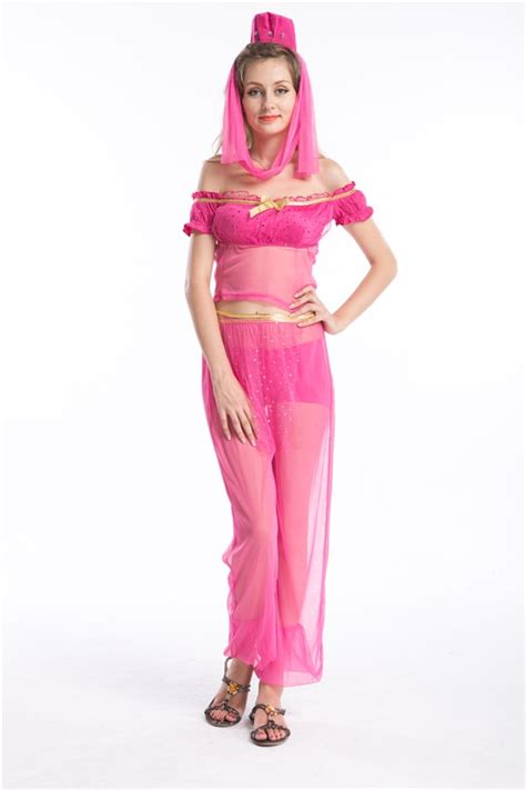 Plus Size India Costumes Belly Dancer Fancy Dress Belly Dress Sexy