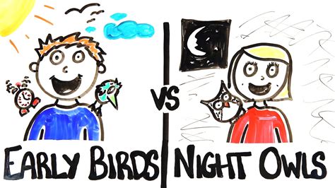 Night Owls Vs Early Birds With Images Early Bird Night Owl Owl