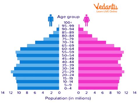 Population Pyramid 2023
