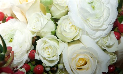 White Roses Free Stock Photo Public Domain Pictures