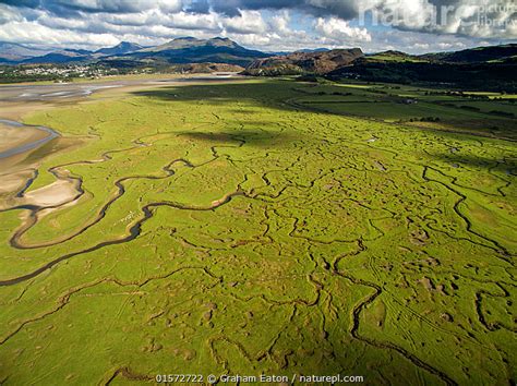 Stock Photo Of Aerial View Of Saltmarsh With Small Meandering Drainage