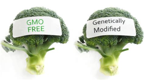 Science Says An Honest Discussion On The Labeling Of Gmos