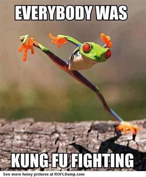 Kung Fu Fighting Rofl Dump Funny Frogs Funny Animals Cute Animals